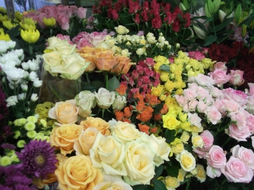 「フラワーショップ　のうみ」　（広島県広島市安佐北区）の花屋店舗写真3